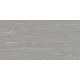 APS12919 Silkstone 60x120cm Grey