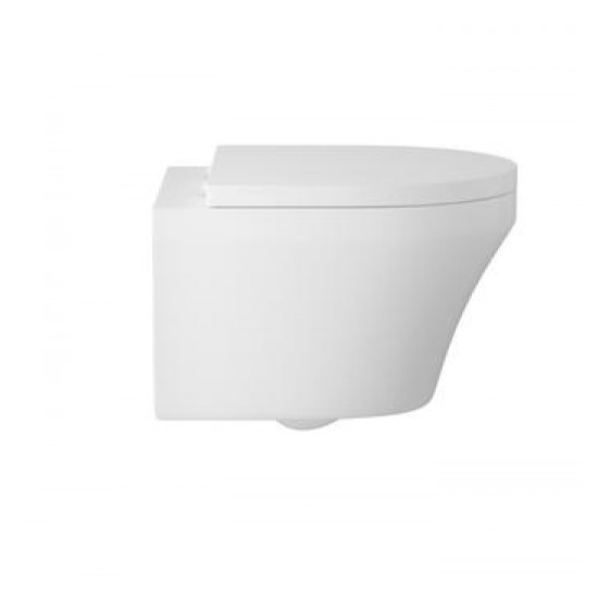 APS4769 Luna Wall Hung Pan and Seat White