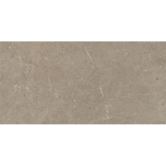APS8707 Taupe 30x60  Taupe