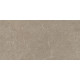 APS8707 Taupe 30x60  Taupe