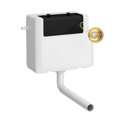 APS6163 Dual Flush Cistern With Traditional Push Button Brushed Brass