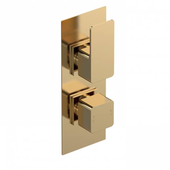 APS8246 Windon Twin Therm Valve W/DIV Brushed Brass (PVD)