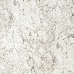 APS12491 Calacatta Marble White