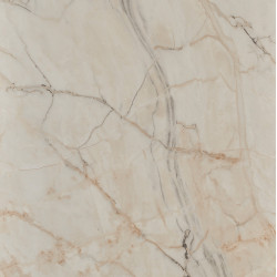APS12502 Shell Marble Beige