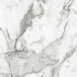 APS12504 Veneto Marble White