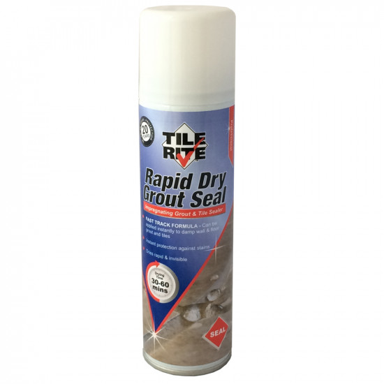 APS9313 250ML RAPID DRY GROUT SEAL 