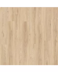 APS12389 Blackjack Oak Beige