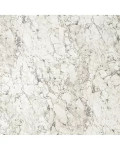 APS12491 Calacatta Marble White
