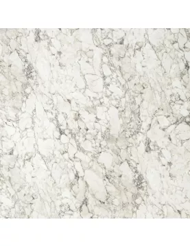 APS12491 Calacatta Marble White