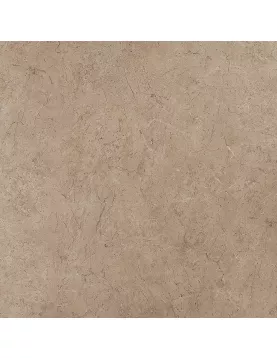 APS12492 Cappuccino Marble Brown