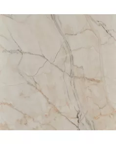 APS12502 Shell Marble Beige