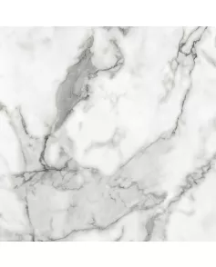 APS12504 Veneto Marble White