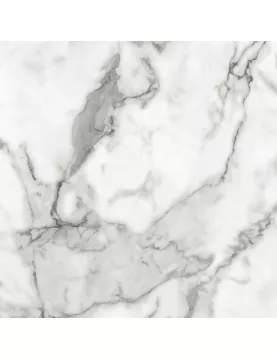 APS12504 Veneto Marble White