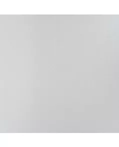 APS12507 Pearlescent White SW31 White