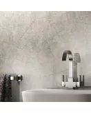APS12526 Silver Slate Matt SW71 Grey