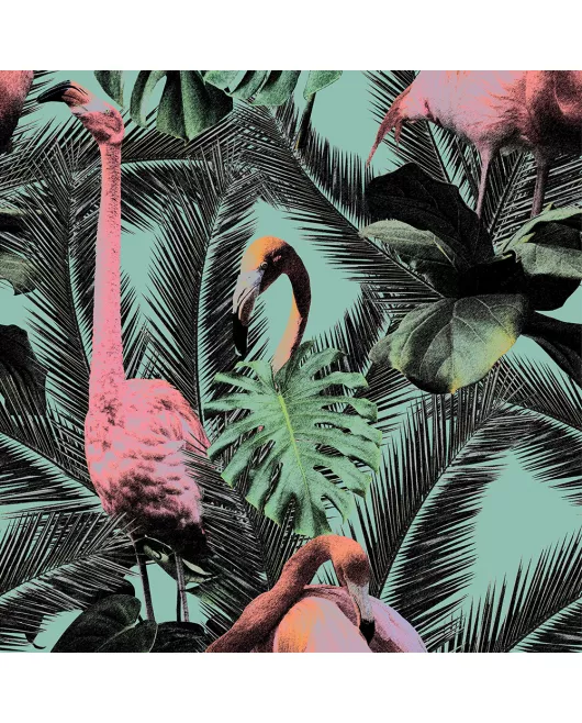 APS12564 Flamingo SCA24 Print