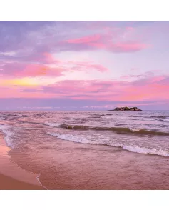 APS12569 Escape SCA62 Print