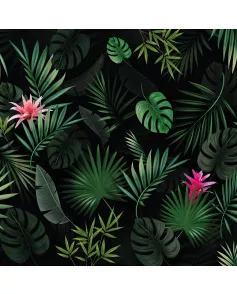 APS12571 Bromelia SCA58 Print