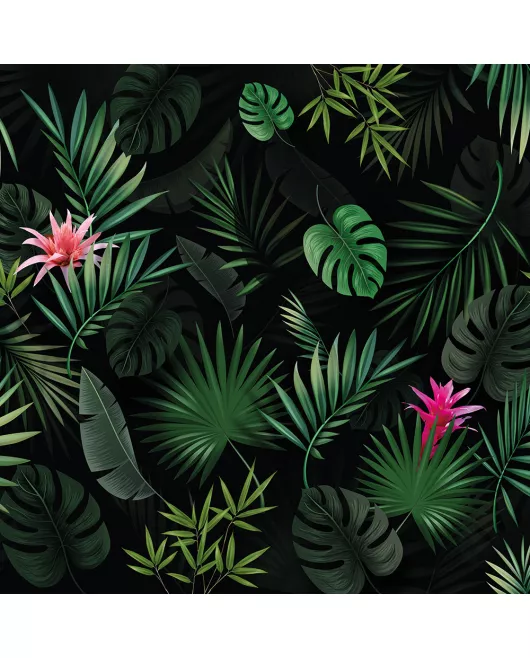APS12571 Bromelia SCA58 Print