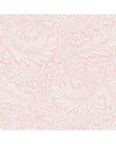 APS12583 Fern Blush SCA39 Print