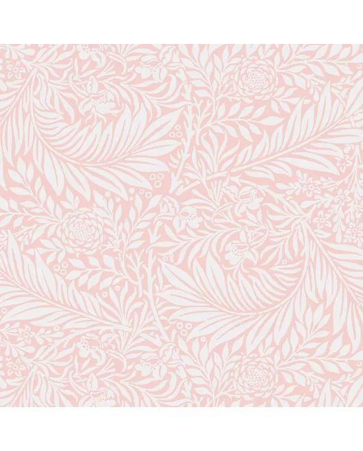 APS12583 Fern Blush SCA39 Print