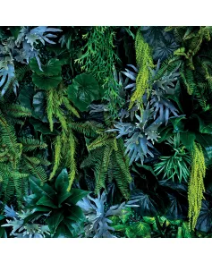 APS12585 Plant Wall SCA63 Print