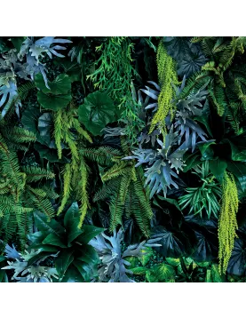 APS12585 Plant Wall SCA63 Print