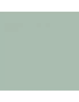 APS12589 SHOWER WALL - Sage SWA20 Green