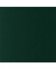 APS12595 Hunter Green SWCT04 Green