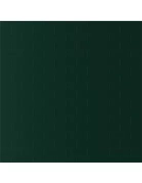 APS12595 Hunter Green SWCT04 Green