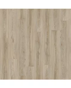 APS13114 Blackjack Oak 22246 Wood