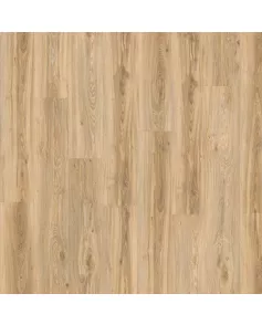 APS13117 Blackjack Oak 22220 Wood