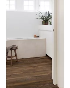 APS13123 English Walnut 20896 Wood