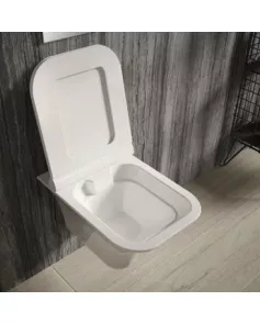 APS4719 Rimless Wall Hung Pan & Seat White