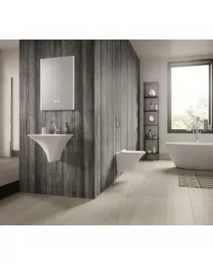 APS4719 Rimless Wall Hung Pan & Seat White