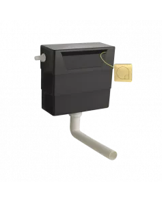 APS4736 Dual Flush Cistern With Square Push Button Brushed Brass