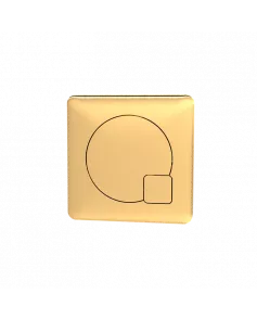 APS4737 Square Dual Flush Push Button Brushed Brass