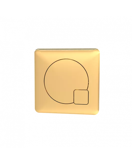 APS4737 Square Dual Flush Push Button Brushed Brass