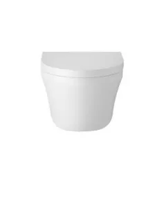 APS4769 Luna Wall Hung Pan and Seat White