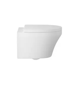 APS4769 Luna Wall Hung Pan and Seat White