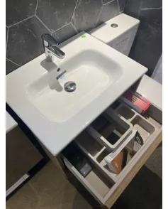 APS51266 Western oak 