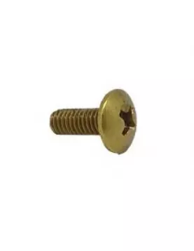 APS51962 Brass Tap Head Fixing Screws M4 X10mm 