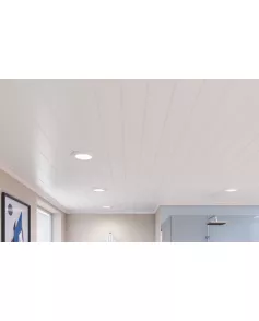 APS53424 Double White Matte Matt White