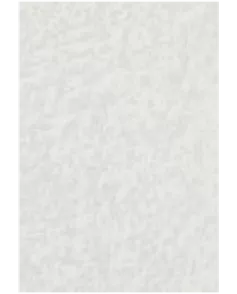 APS53891 Arctic Shimmer 