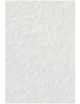 APS53891 Arctic Shimmer 