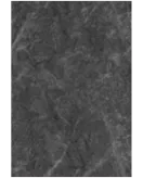APS53893 Black Bonito 