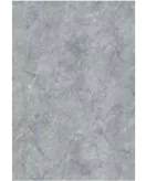 APS53896 Grey Bonito 