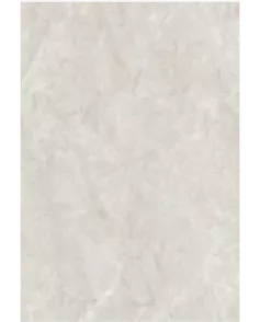 APS53901 White Bonito 