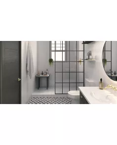 APS53902 White Frost 