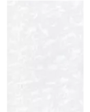 APS53902 White Frost 